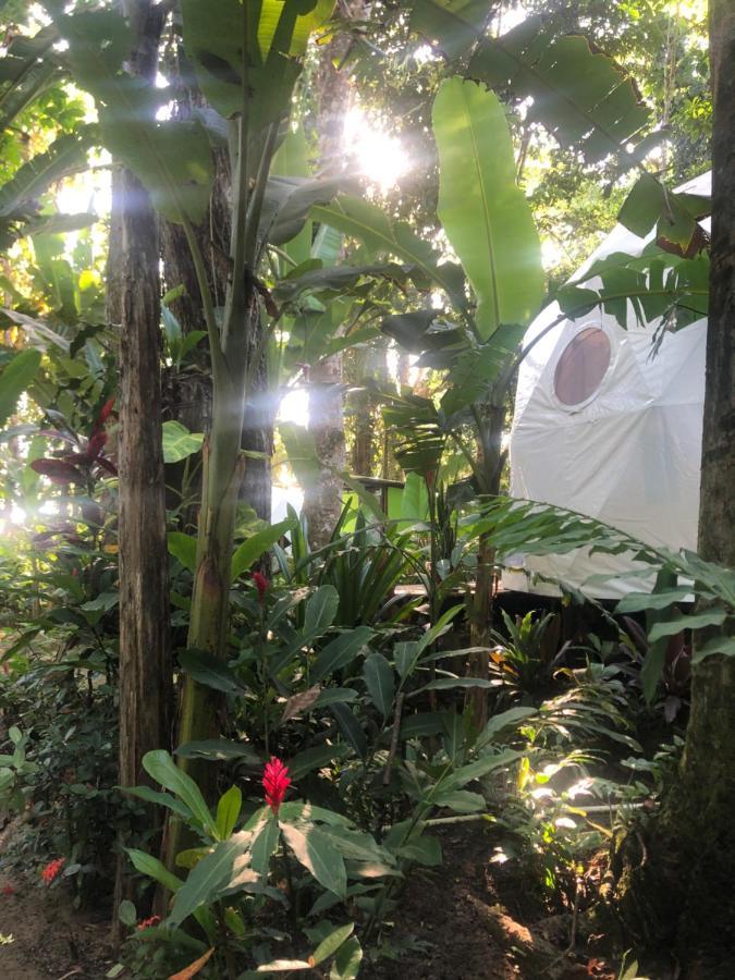 Faith Glamping Dome Costa Rica Hotel Manzanillo  Ngoại thất bức ảnh