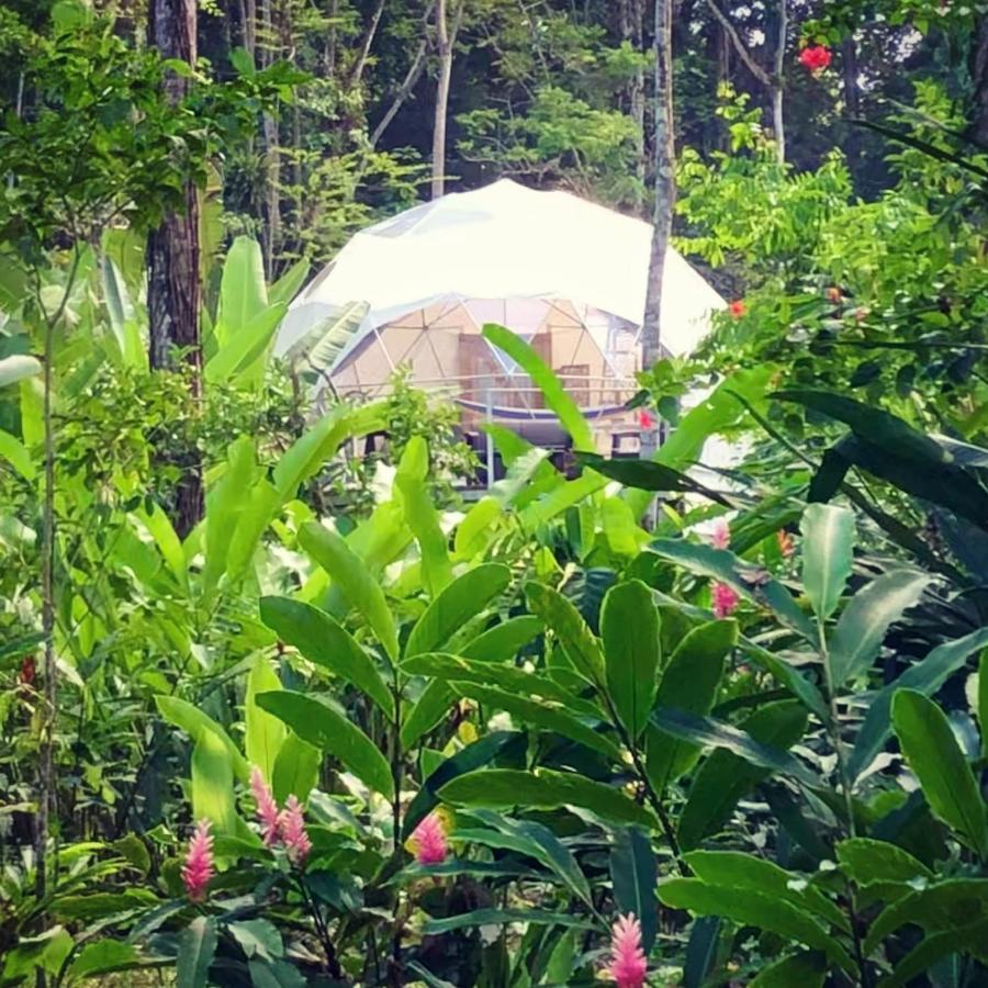 Faith Glamping Dome Costa Rica Hotel Manzanillo  Ngoại thất bức ảnh