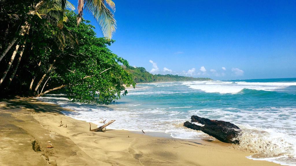 Faith Glamping Dome Costa Rica Hotel Manzanillo  Ngoại thất bức ảnh