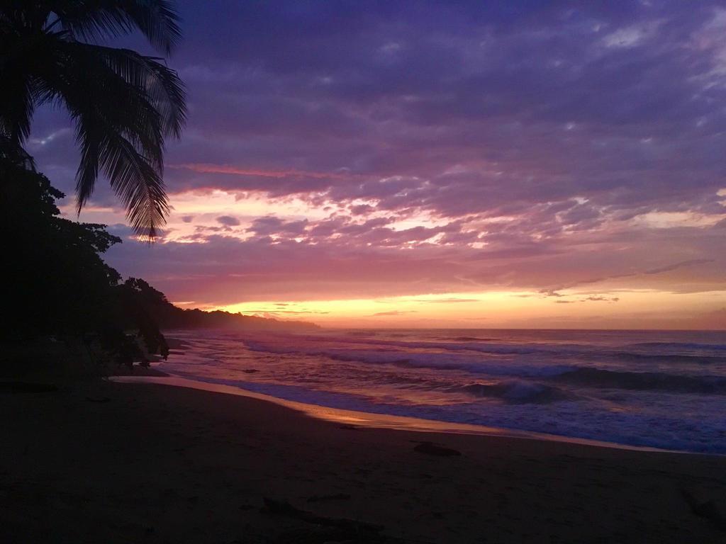 Faith Glamping Dome Costa Rica Hotel Manzanillo  Ngoại thất bức ảnh